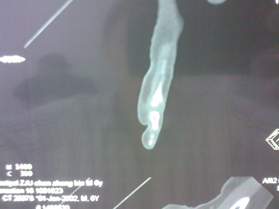 SPM_A0169.jpg