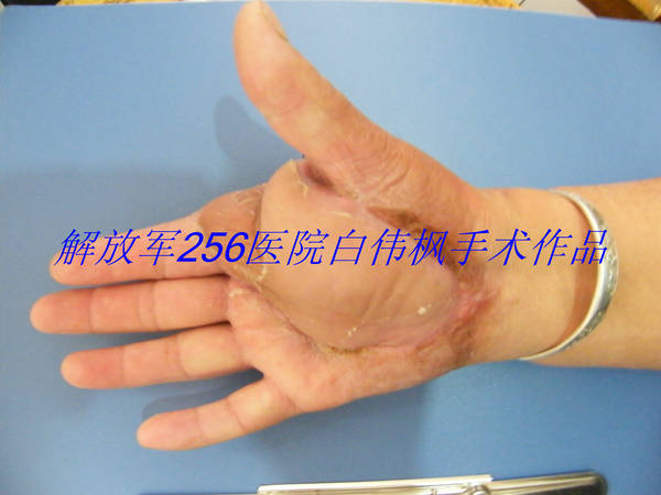 DSCF0516.JPG