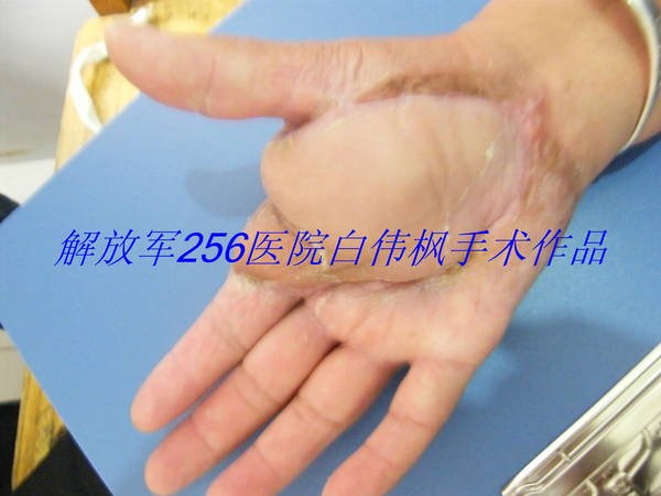 DSCF0517.JPG