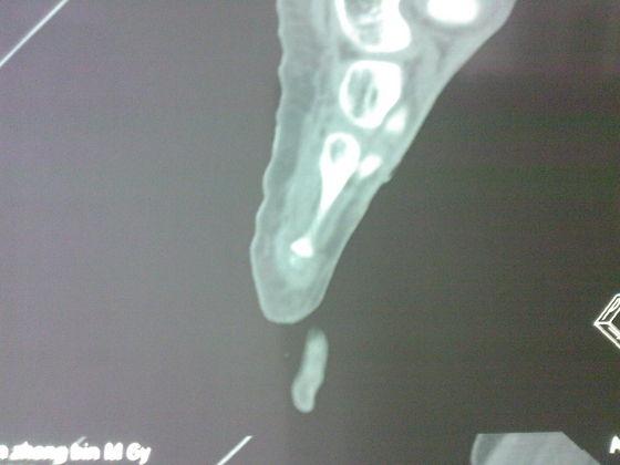 SPM_A0174.jpg