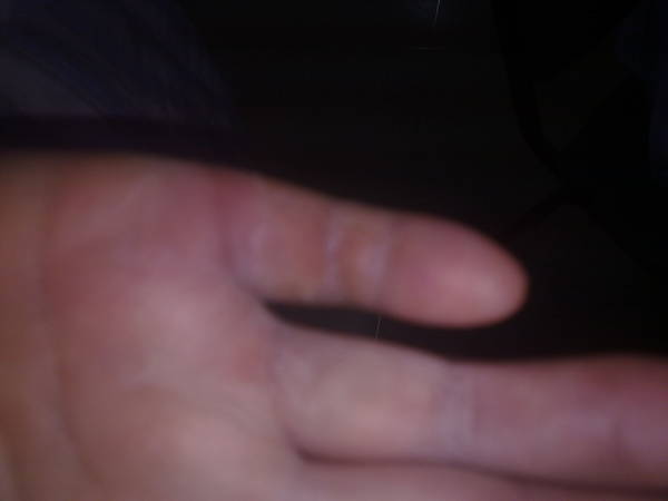 20111215257.jpg