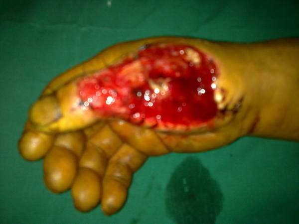 20120221062.jpg
