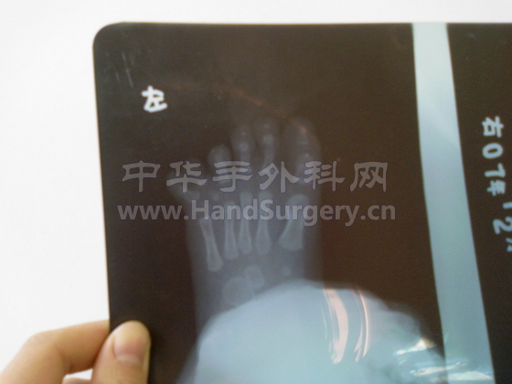 照片-0274.jpg