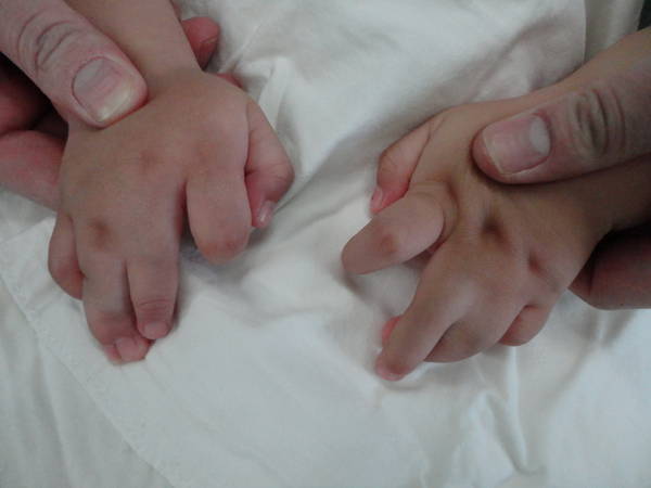 DSC01974-1.jpg