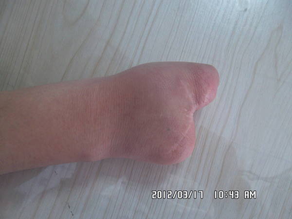 SAM_0745.JPG