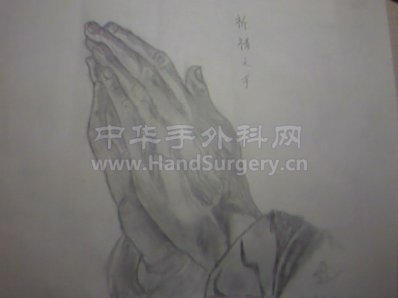 照片-0003.jpg