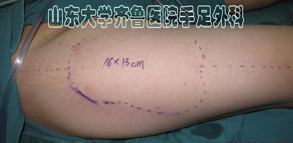 IMG_4290_conew1.jpg