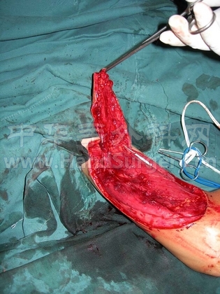 DSCN2807.JPG