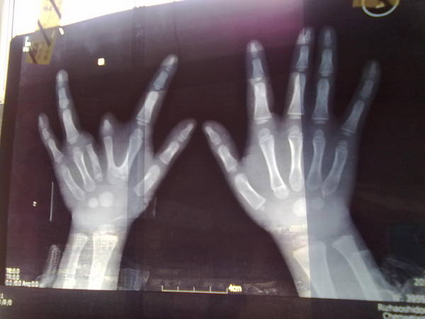 20120320357.jpg