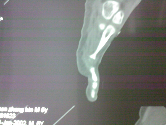 SPM_A0175.jpg