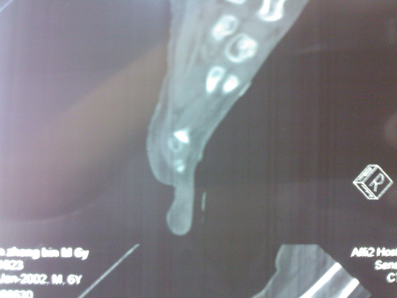 SPM_A0177.jpg