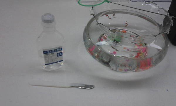 2012-03-09 14.12.38.jpg