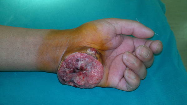20120309073.jpg