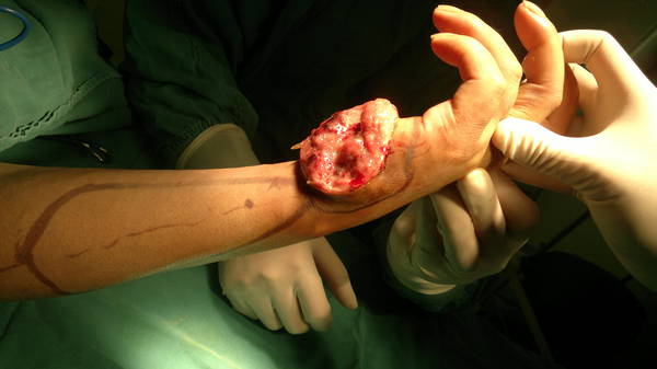 20120309075.jpg