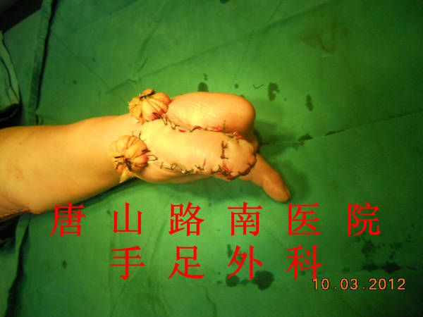 DSCN0764_副本.jpg