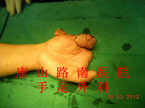 DSCN0765_副本.jpg