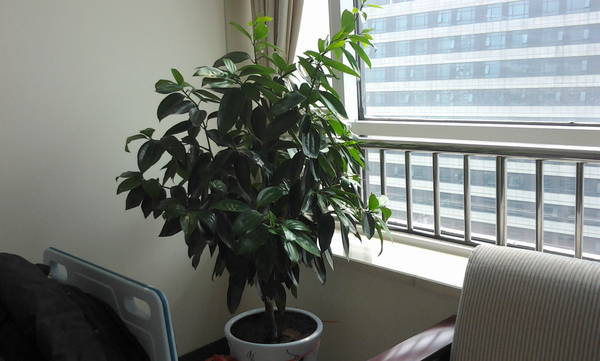 2012-03-14 12.02.43.jpg