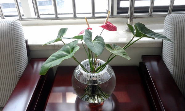 2012-03-14 12.02.26.jpg