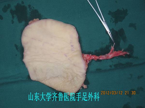 IMG_3406_conew1.jpg