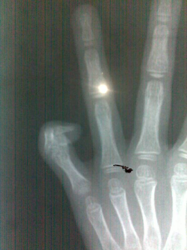 20111212089.jpg