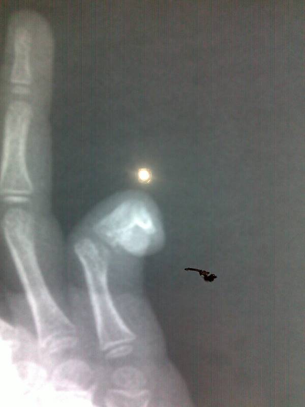 20111212090.jpg