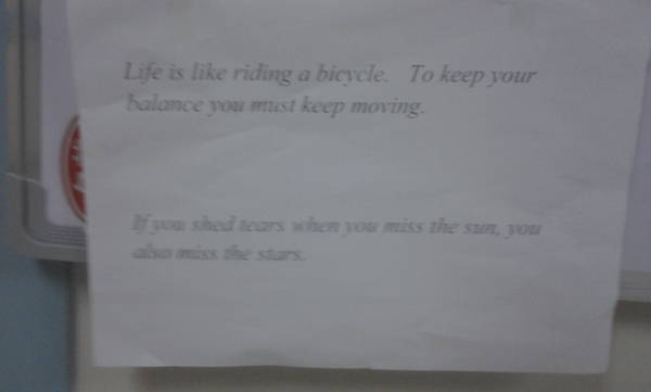 2012-04-10 13.17.28.jpg
