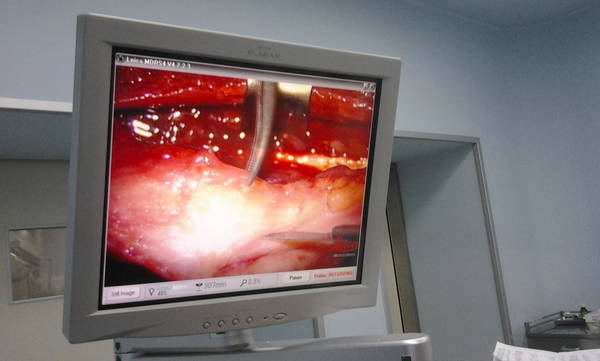 2012-03-23 14.10.20.jpg