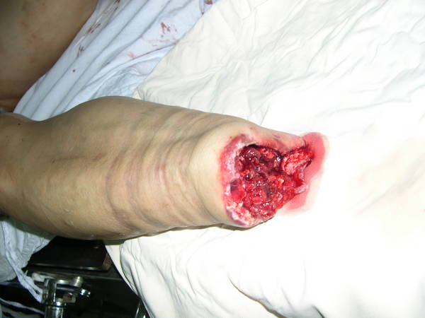 NT-050729-11436-3.jpg