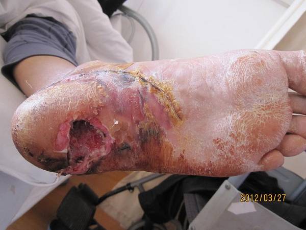 IMG_1742.JPG