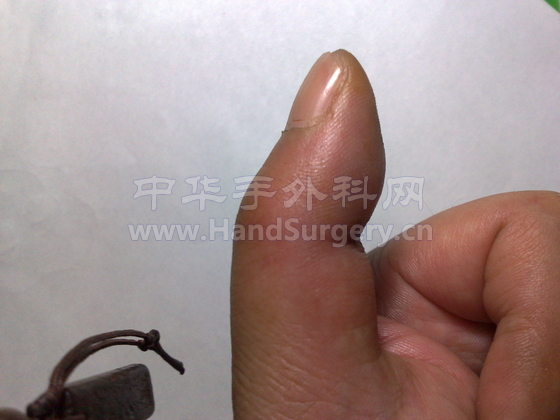 20081125231.jpg