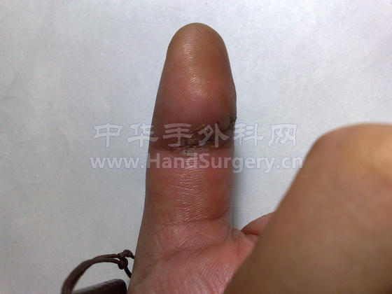 20081125228.jpg