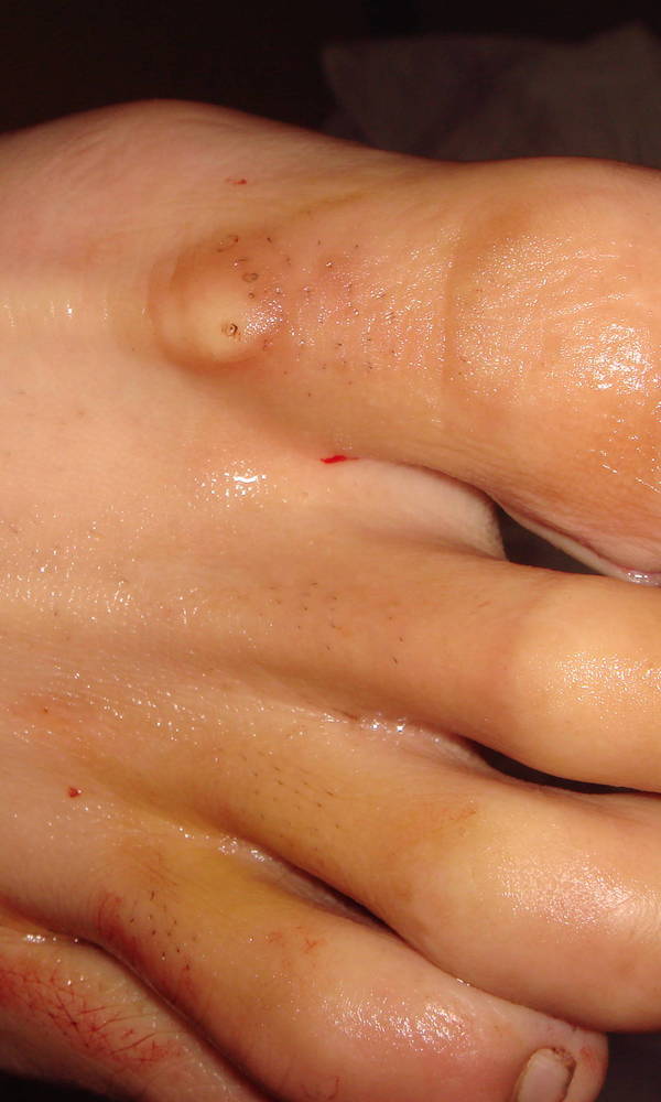 DSC08508.JPG