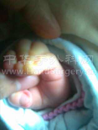 图像029.jpg
