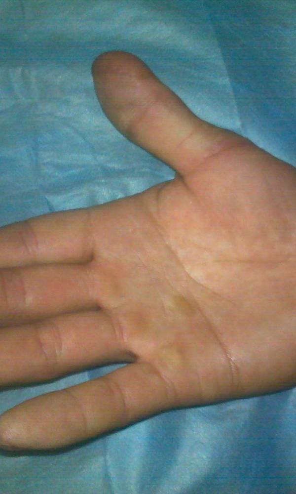 20120522306.jpg