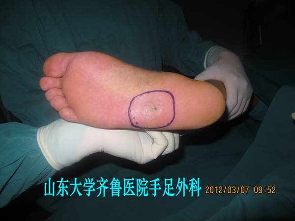 IMG_2707_conew1.jpg