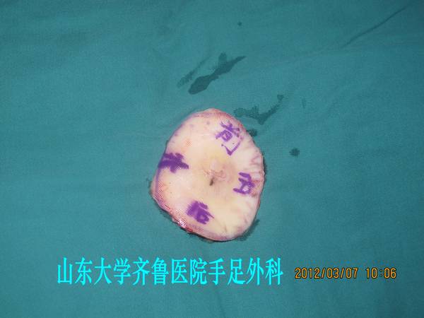 IMG_2712_conew1.jpg