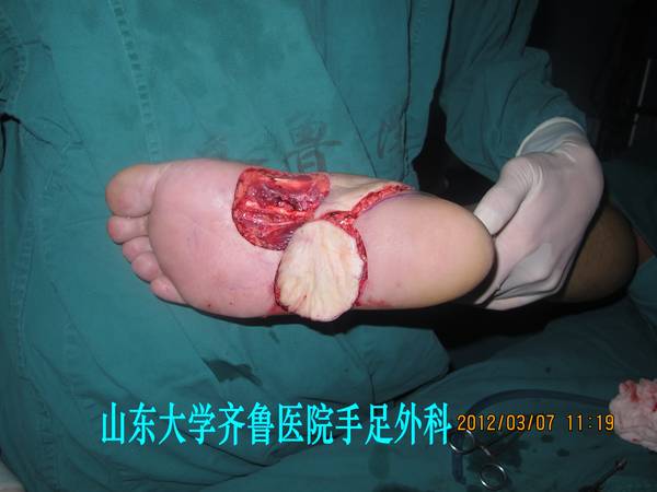 IMG_2727_conew1.jpg
