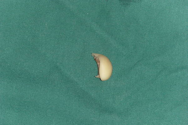 SI850086.JPG