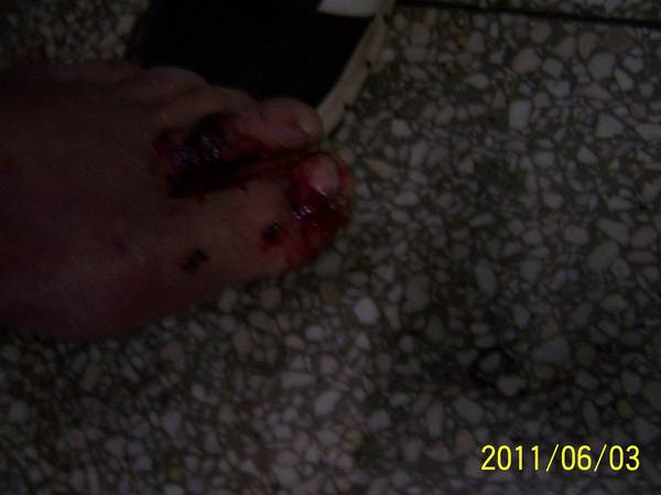 100_0870.jpg