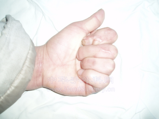 照片 236.jpg
