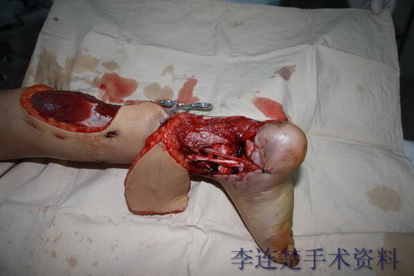 图片5.JPG