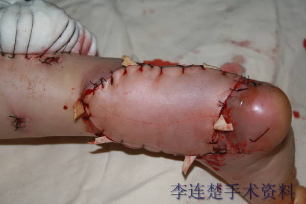 图片6.JPG