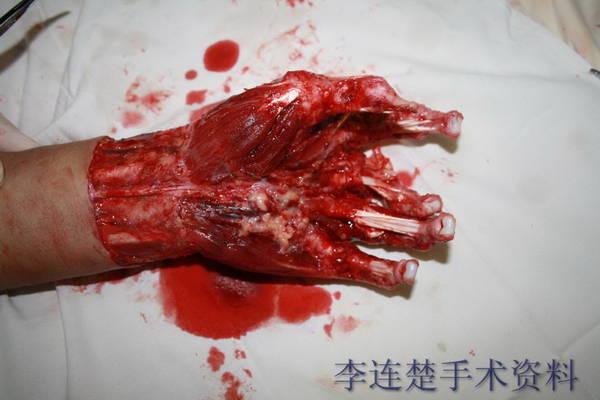 图片32a.JPG