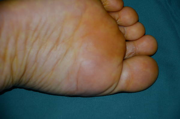 DSC_7140.JPG