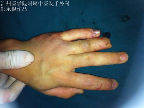 照片 1176.jpg