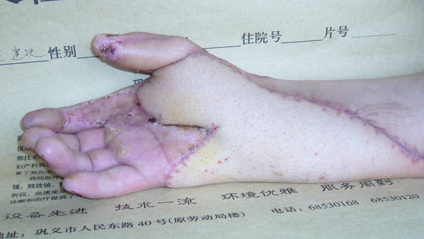 P1070001.JPG