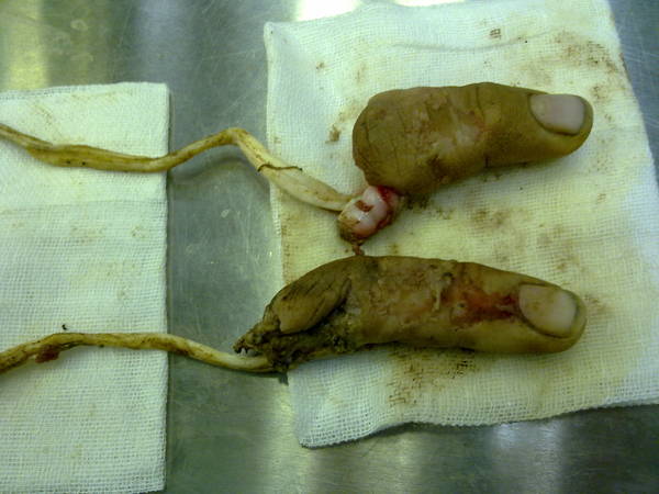 20111226557.jpg