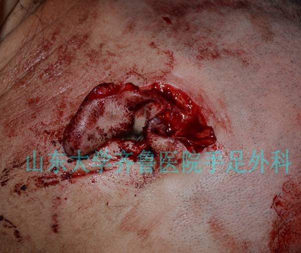 DSC_0232_conew1.jpg