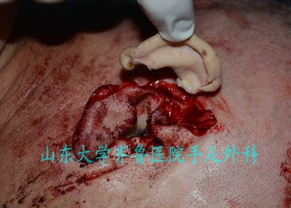 DSC_0236_conew2.jpg