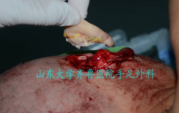 DSC_0238_conew1.jpg